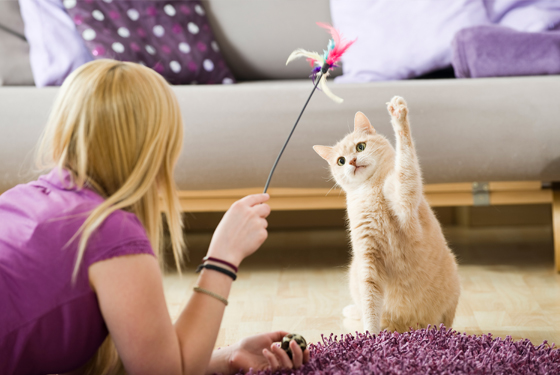 Frau spielt mit Katze